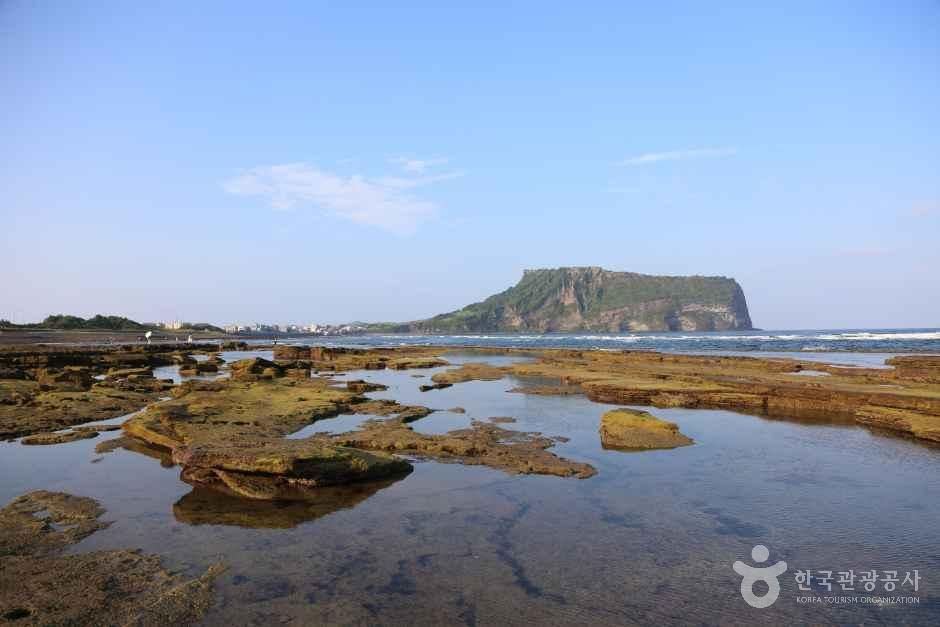济州光峙其海边的玄武岩礁石与远处的城山日出峰